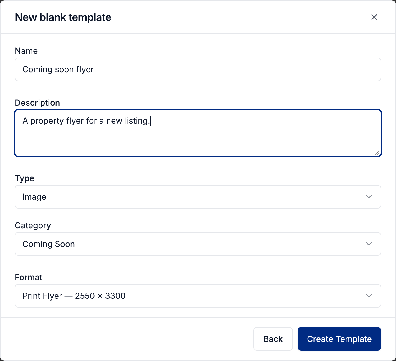 Name, type, category, and format for a blank template