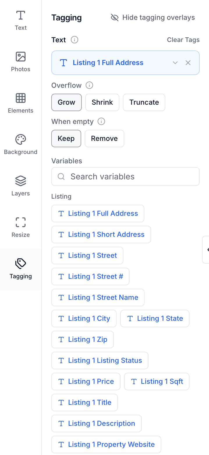 Tagging controls for a selected address text element